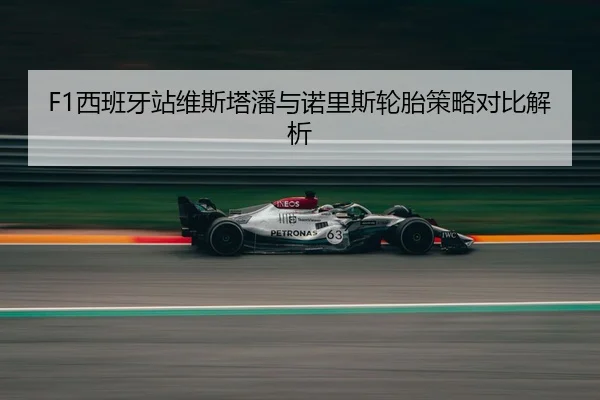 F1西班牙站维斯塔潘与诺里斯轮胎策略对比解析