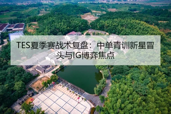 TES夏季赛战术复盘：中单青训新星冒头与IG博弈焦点